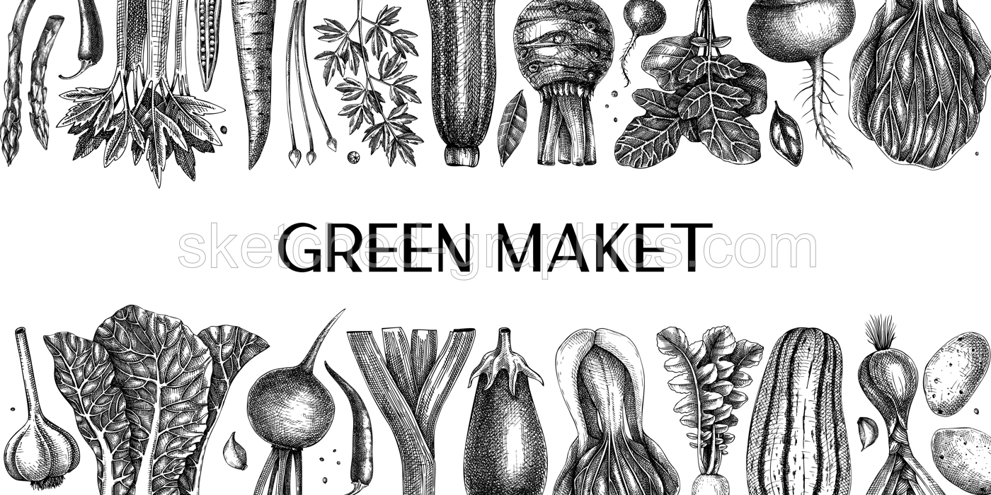 Hand-drawn vegetables vector banner design. Hand-sketched healthy food illustration. Vintage edible plants hand-drawings. Kitchen vegetables frame template in sketched style. For menu or banners Illustration